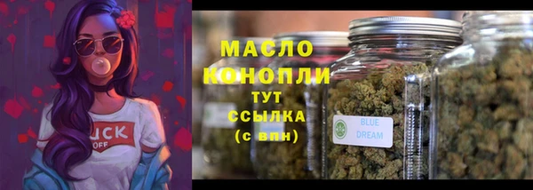 сатива Новокубанск