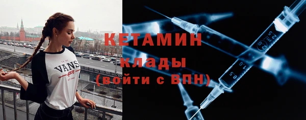 сатива Новокубанск