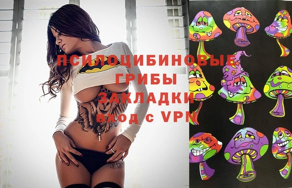 герыч Новозыбков