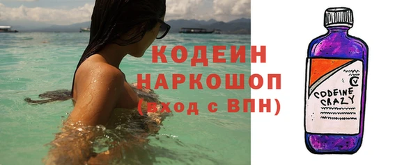 сатива Новокубанск
