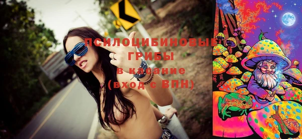 сатива Новокубанск