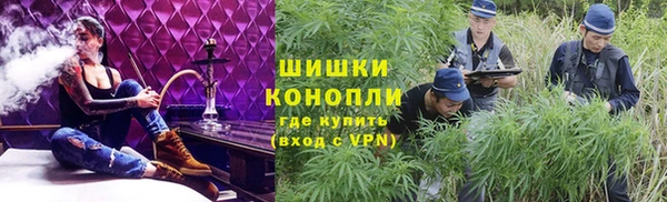 бошки Новодвинск