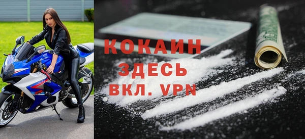 сатива Новокубанск