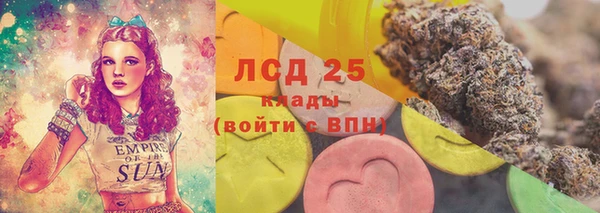 бошки Новодвинск