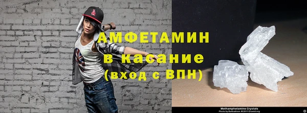 сатива Новокубанск