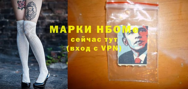 сатива Новокубанск