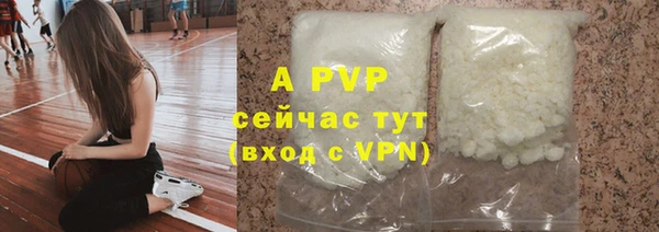 бошки Новодвинск