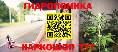 мдпв Жуковский