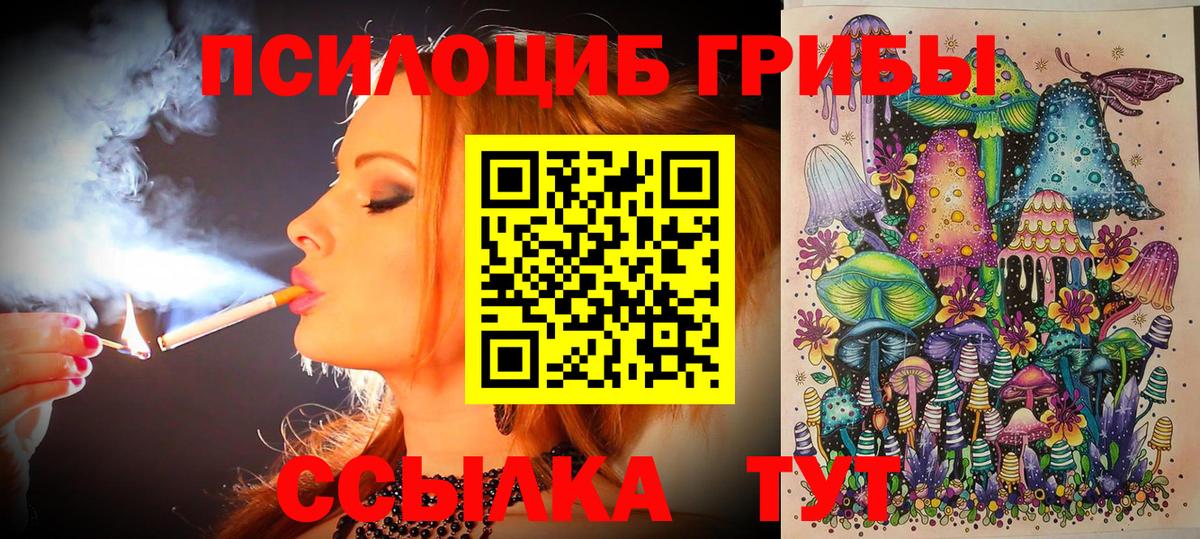 Псилоцибиновые грибы MAGIC MUSHROOMS Протвино