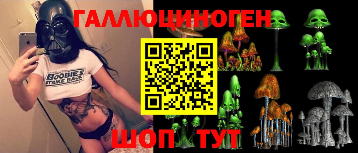 Галлюциногенные грибы Psilocybe  Вход с VPN  Протвино 